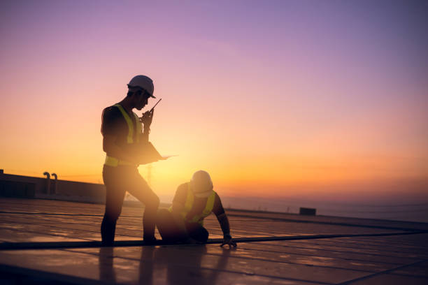 Best Roof Moss and Algae Removal  in West Point, MS